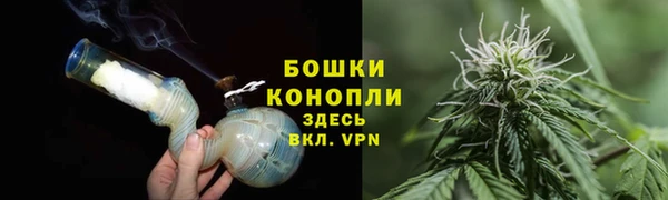 прущие грибы Нягань