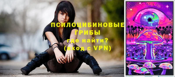 кокс Алзамай