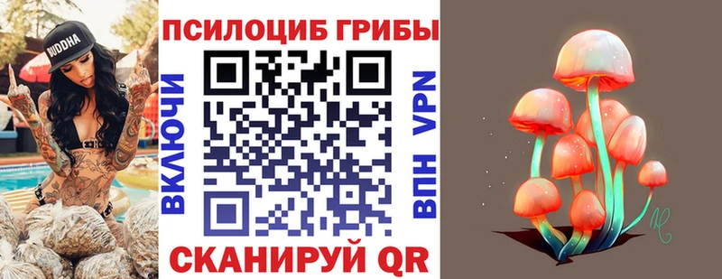 Псилоцибиновые грибы мицелий  Алексин 